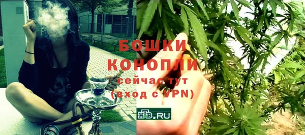 гашик Богородск