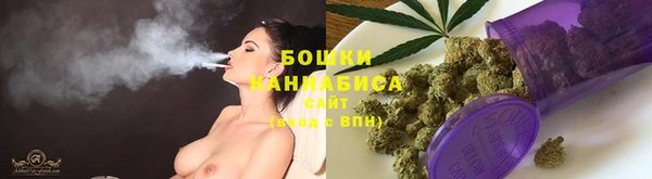 гашик Богородск