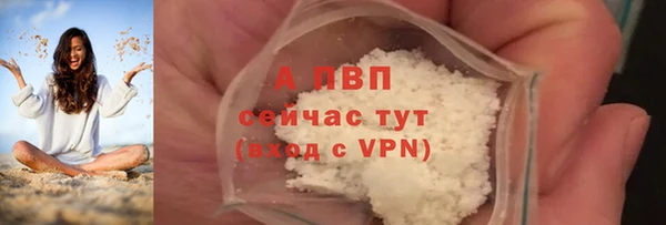 гашик Богородск