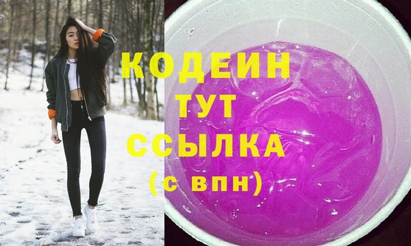 гашик Богородск