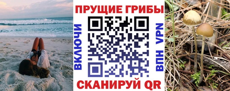 Купить  Ревда  Галлюциногенные грибы GOLDEN TEACHER 