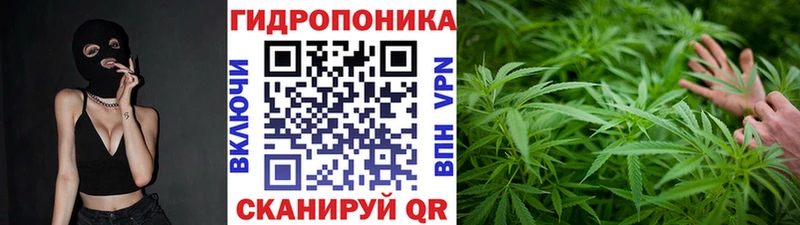 Канабис сатива  Купить где  Ревда 